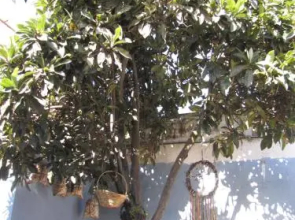 Casa Encuentro - Hostel