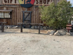 Safari Motor Inn - Joshua Tree