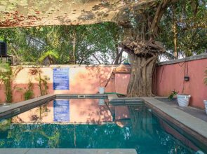 Beach Villa With Private pool