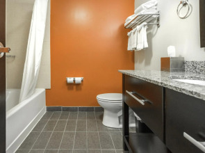 Sleep Inn & Suites and Conference Center Downtown