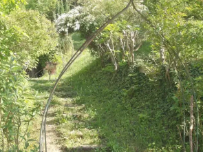 Wienerwald
