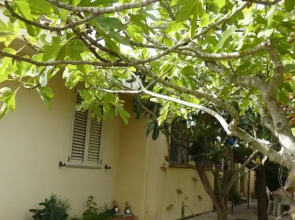 Casa Nespolo