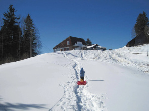 Panoramablick
