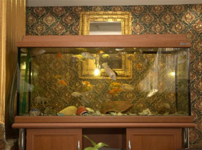 Aquarium Hotel