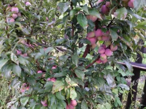 Home Of Linhai Family Guesthouse