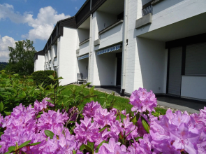 Spacious Apartment in Niedersfeld near Ski Area