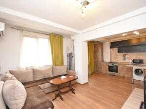 Sunny apartment on Pushkin street