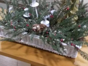 Refúgio Da Gandra