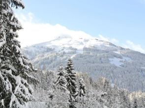 Studio Schwarzenauer