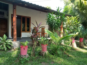 Coconut homstay