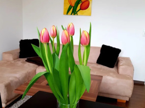 Ferienwohnung an der Elbfähre