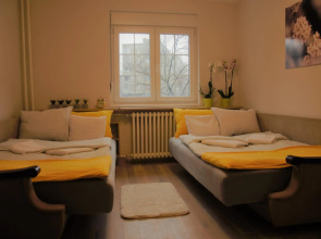 Spacious 2-bedroom apartment with luxury feel