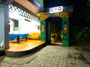 OYO 1320 Green Orry Inn