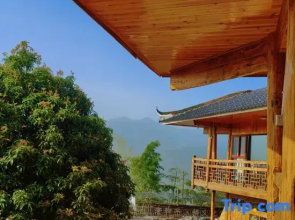 Xinhua County Ziqueyunju Agricultural Development Co., Ltd.