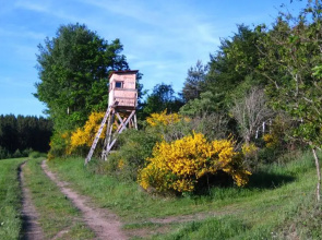 Gästezimmer Waldblick