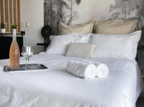 Un Palmier Dans la Chambre, Studio de Standing