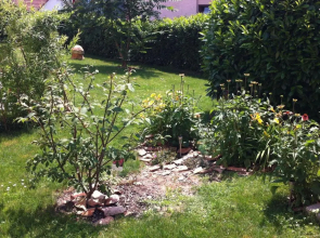 Ferienwohnung
