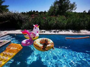 Magnifique gîte en pierres 6 personnes avec piscine privée Ardèche plein sud