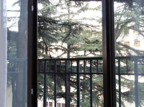 Globus.tbilisi Rustaveli