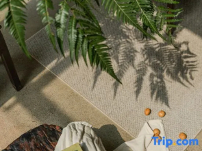 Guangzhou Sunset • Mountain & Wild Designer Homestay