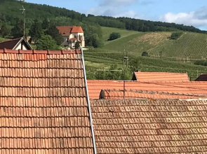 Appartement Forgerons
