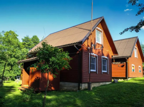 Taparynė