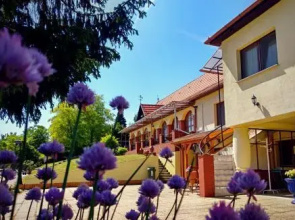 Villa Teleki