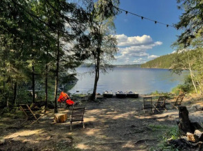 Вили Улей Карелия