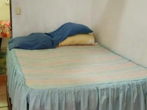 Alba rent 2