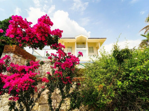 Dreamland Villa