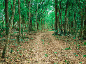 Canzi Cataratas Hotel