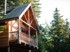 Wildwood Cabins