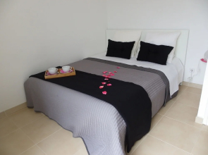 Danlux Moli 12