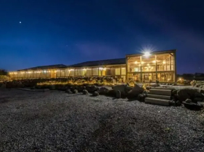 Jeju If you Meet a Dolphin in Jeju