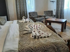 Tokaplus