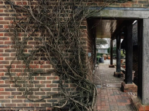 Red Robin in Hurley with 1 bedrooms and 1 bathrooms