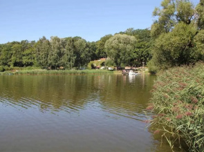 Ferienhaus Koelpinsee USE 2161