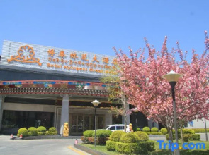 Botai Linzhi Hotel