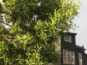 Casa Chakana Chiloé