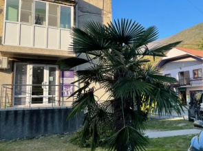 2h kom kV v Gagra