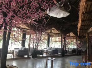 Yinyi Water Town Hostel