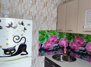 Апартаменты на Ленина 57