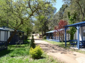 Bungalows Turismar Village