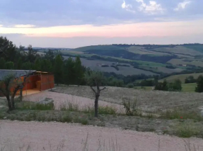 Gran Bosco