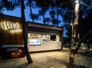 Blue Dolphin Resort Hotel