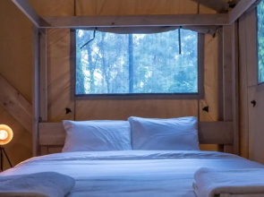 Nuez Incredible Logde in the Forest With Private Jacuzzi