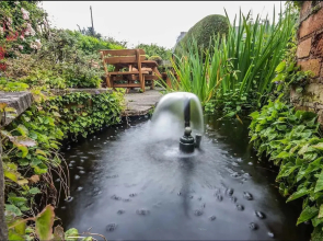 Feather Bed Cottage B&B