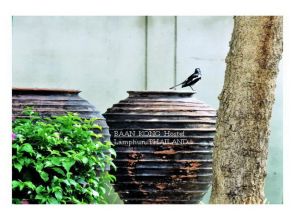 Baan Kong Hostel Lamphun