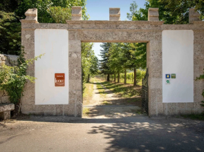 Holiday Home in Ponte de Lima With Pool