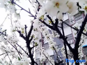 Tianzhushan Motu Station Homestay